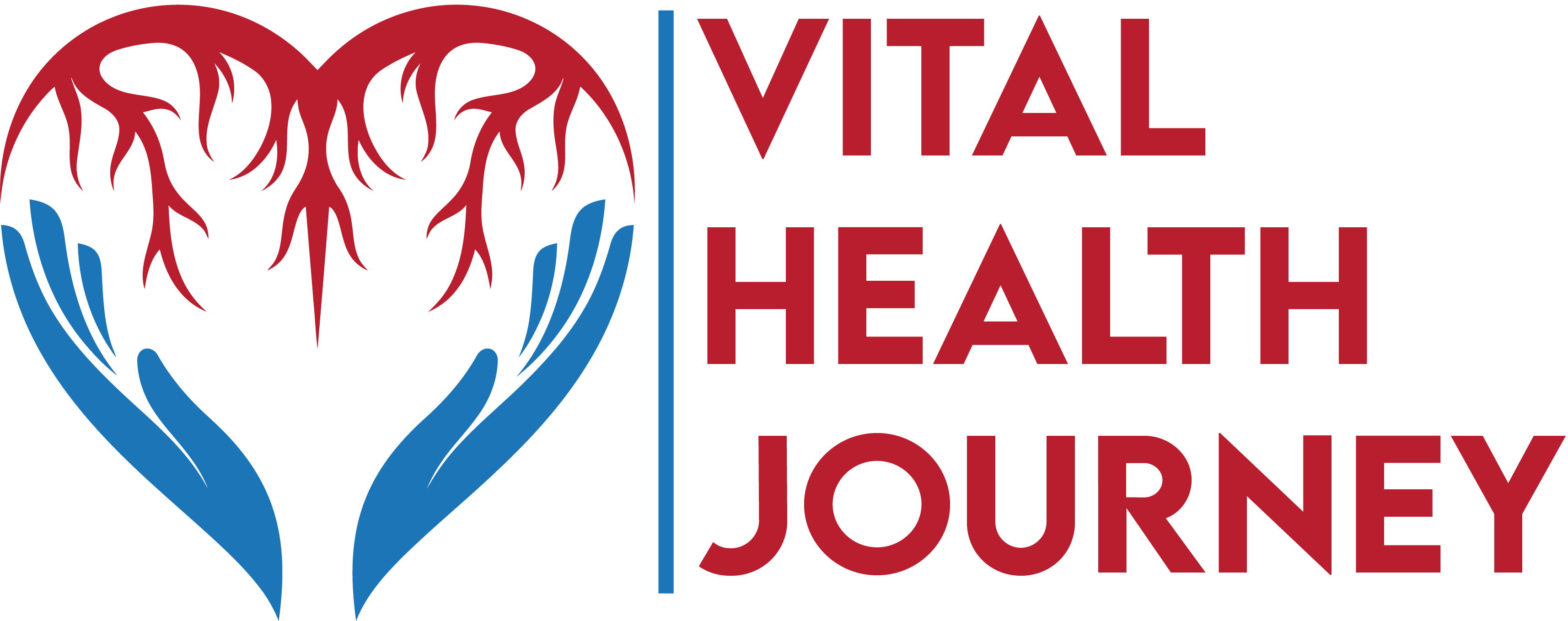 Vital Health Journey